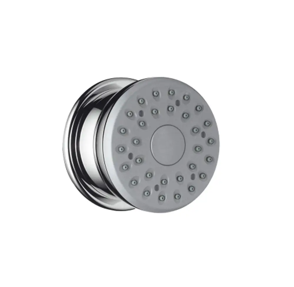 Hansgrohe Duschkopf in Chrom-Design mit gleichmäßig angeordneten Düsen für Wasserstrahlverteilung, zur Wandmontage geeignet.